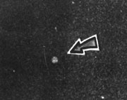▲20倍に拡大したライマンの写真。空軍は観測気球だと主張した。