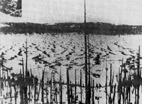 ▲爆心地の沼
