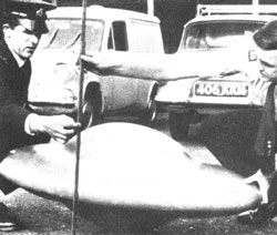 ��1967�N9���̂��钩�A��C���O�����h�̕���Ŕ������ꂽ�~�ՁB