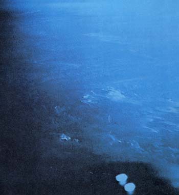 ��1965�N12���A�W�F�~�j�V������t�����N�E�{�[�}���A�W�F�[���Y�E���x����s�m���B�e�������́B���̂t�e�n�͒����ԃW�F�~�j��ǐՂ����B 